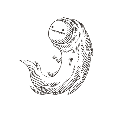 animationmarin2