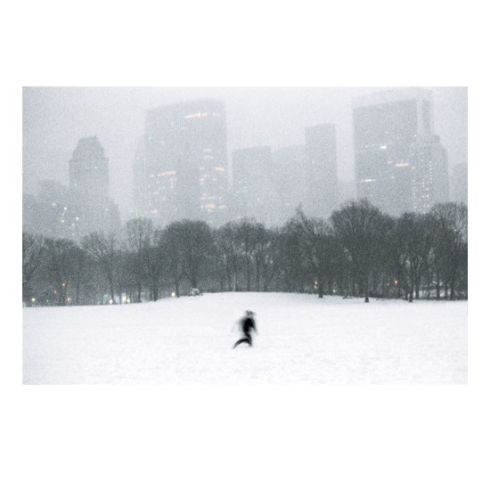 17_centralpark4