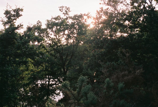 Roll1_A018044-R1-30-31A