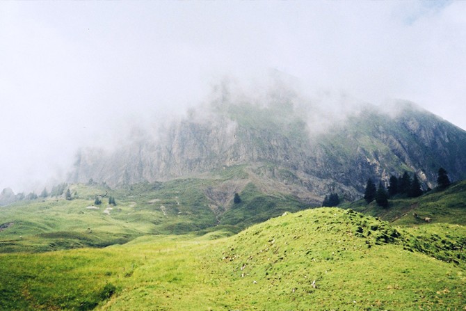 nature1_christianneuenschwander_900